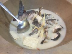鮰鱼-云中鱼蒸汽石锅鱼(川沙百联店)