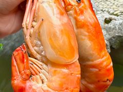 -蟹村草堂·苏式园林人文农家·大闸蟹