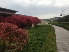 -青岛银沙滩