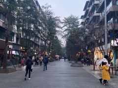 -泡桐树街