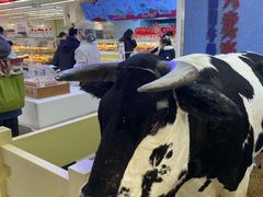 -红星前进面包牛奶公司(君太店)