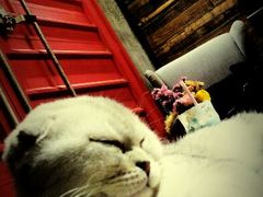 android_upload_pic-MIKAKU(万达广场上海宝山店)