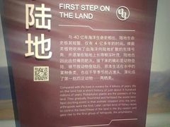 -重庆自然博物馆(新馆)