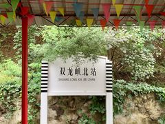 -双龙峡
