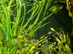 -上海海洋水族馆