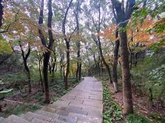 -宁波市保国寺古建筑博物馆