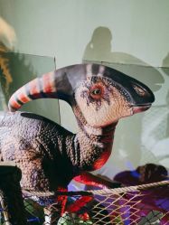 -恐龙探索乐园(磁器口店)