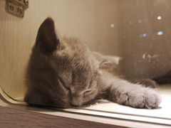 -乐宠宠物店(世纪金源店)