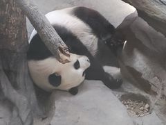 -宁波野生动物园
