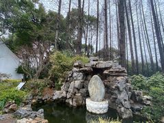 -上海醉白池公园