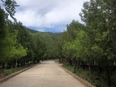 -蟒山国家森林公园天池停车场