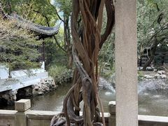 -复旦大学附属华山医院(总院)