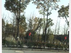 -上海长兴岛郊野公园