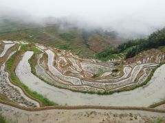-紫鹊界梯田景区