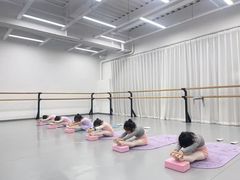 -中央芭蕾舞团·中芭艺蕾(酒仙桥明星校区)