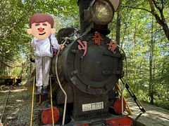 -五营红松林海景区