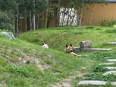 -龙华寺