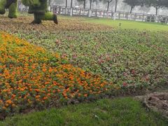 -武清南湖绿博园