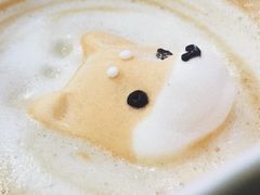 逗柴特调咖啡-逗柴咖啡屋·狗咖猫咖宠物桌游