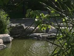 -大望京公园