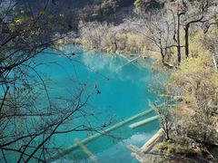 -叠溪松坪沟景区