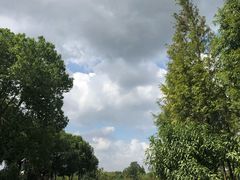 停车位-田园东方蜜桃村的田野营地