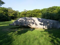 -吴淞炮台湾湿地森林公园烧烤区
