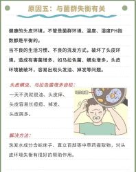 -Bollins波林丝•专研护发中心