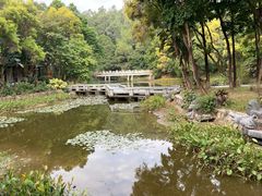 -深圳国际园林花卉博览园