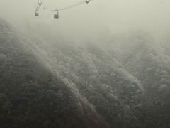 -BreadTalk面包新语·烘焙蛋糕(金光华广场店)