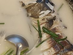 鱼头汤-丰乐餐厅·始于1999·本地老字号