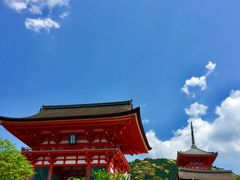 -有栖山 清光院 清水寺