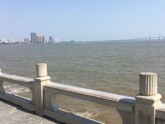 -观澳平台
