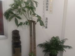 -乐老大耳道·可视采耳·禅洗·推拿(大成直营店)