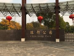 -陈行公园