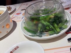 -粤点越有·茶点·粤菜(樵岭国际店)