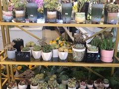 -茶马花街(城西银泰城店)