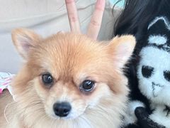 -怪兽屋·羊驼·猫咖·狗咖(俊华广场店)