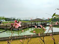 -太阳岛度假酒店