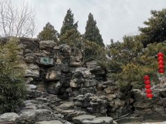 -团结湖公园