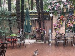 -马勒别墅·中餐厅