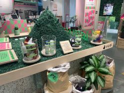 -悦诗风吟innisfree