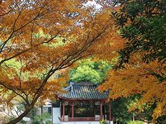 -秋霞圃