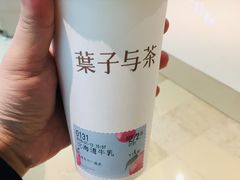 -叶子与茶(苏宁广场店)