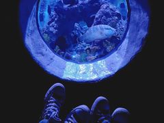 -成都浩海立方海洋公园