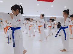 -极真空手道修远道场