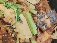 -老板恋上鱼(恒隆广场店)