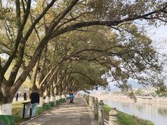 -溪口-滕头旅游景区