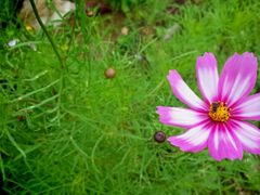 android_upload_pic-贵阳市花溪国家城市湿地公园