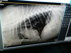 -畜牧兽医站(共江路店)